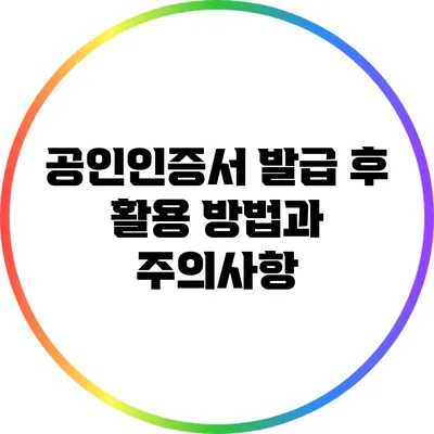 공인인증서 발급 후 활용 방법과 주의사항