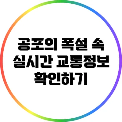 공포의 폭설 속 실시간 교통정보 확인하기