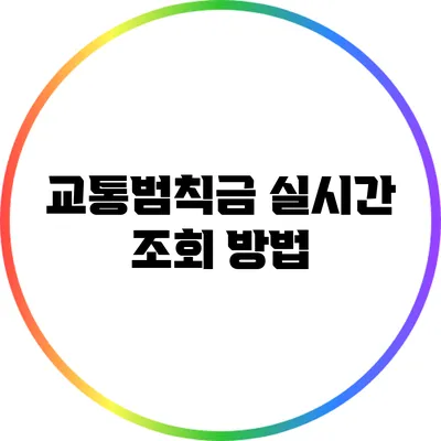 교통범칙금 실시간 조회 방법