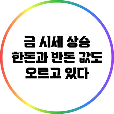 금 시세 상승: 한돈과 반돈 값도 오르고 있다
