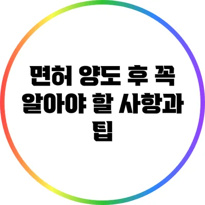 면허 양도 후 꼭 알아야 할 사항과 팁
