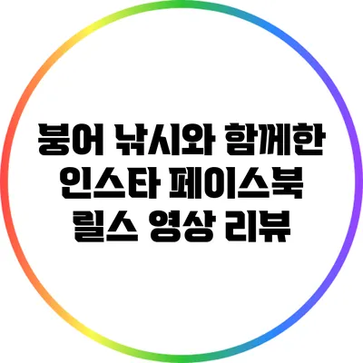붕어 낚시와 함께한 인스타 페이스북 릴스 영상 리뷰