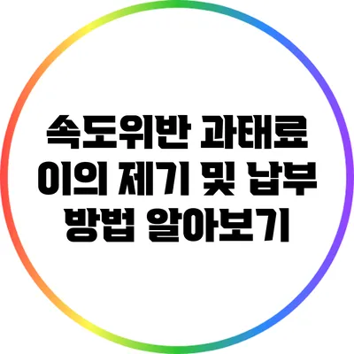 속도위반 과태료: 이의 제기 및 납부 방법 알아보기