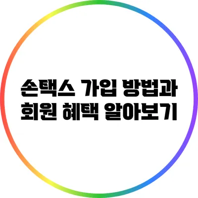 손택스 가입 방법과 회원 혜택 알아보기