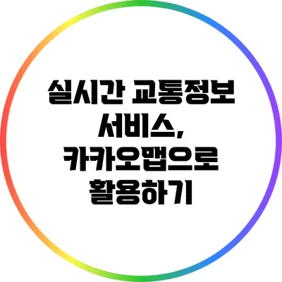 실시간 교통정보 서비스, 카카오맵으로 활용하기