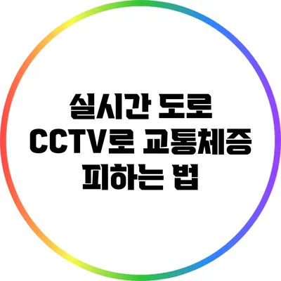 실시간 도로 CCTV로 교통체증 피하는 법