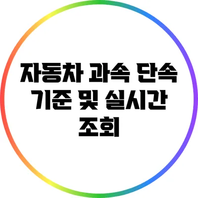 자동차 과속 단속 기준 및 실시간 조회