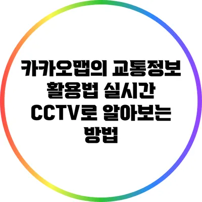 카카오맵의 교통정보 활용법: 실시간 CCTV로 알아보는 방법