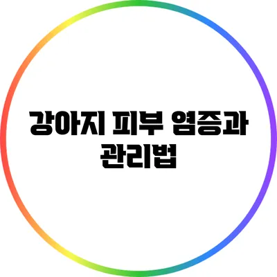 강아지 피부 염증과 관리법