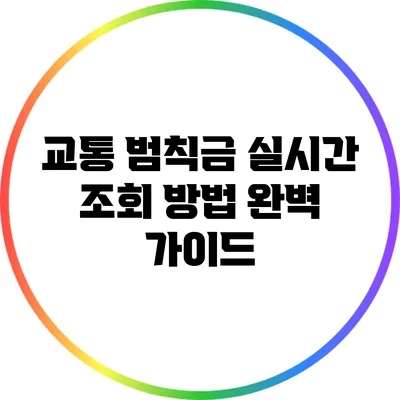 교통 범칙금 실시간 조회 방법 완벽 가이드