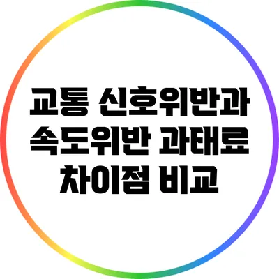 교통 신호위반과 속도위반 과태료 차이점 비교