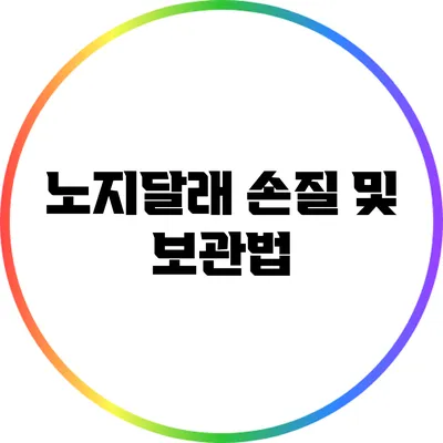 노지달래 손질 및 보관법