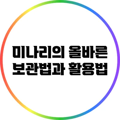 미나리의 올바른 보관법과 활용법
