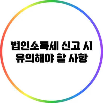 법인소득세 신고 시 유의해야 할 사항
