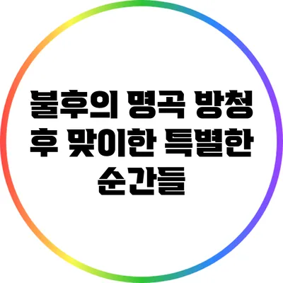 불후의 명곡 방청 후 맞이한 특별한 순간들