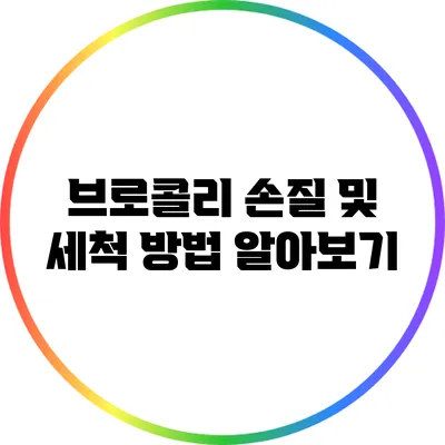 브로콜리 손질 및 세척 방법 알아보기