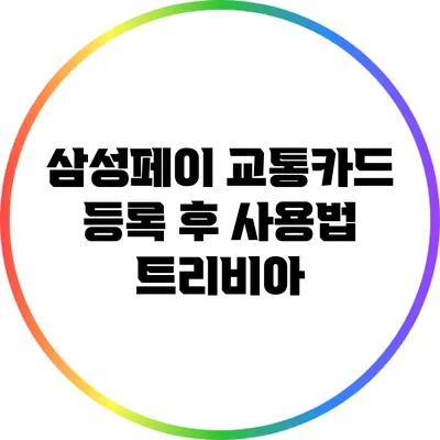 삼성페이 교통카드 등록 후 사용법 트리비아