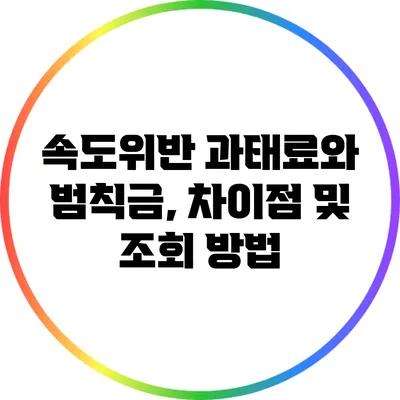 속도위반 과태료와 범칙금, 차이점 및 조회 방법