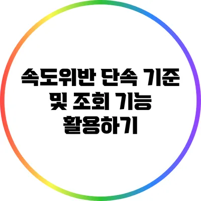 속도위반 단속 기준 및 조회 기능 활용하기