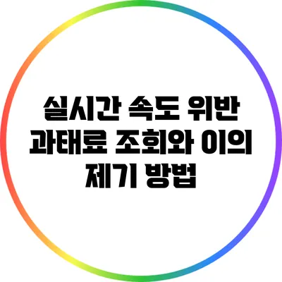 실시간 속도 위반 과태료 조회와 이의 제기 방법