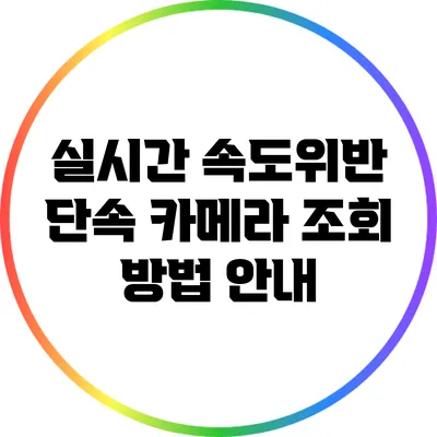 실시간 속도위반 단속 카메라 조회 방법 안내