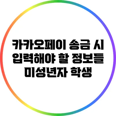 카카오페이 송금 시 입력해야 할 정보들: 미성년자 학생