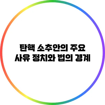 탄핵 소추안의 주요 사유 정치와 법의 경계
