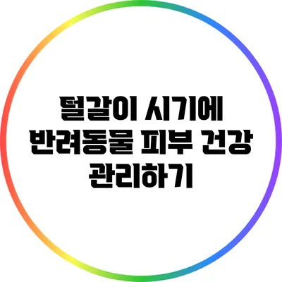 털갈이 시기에 반려동물 피부 건강 관리하기