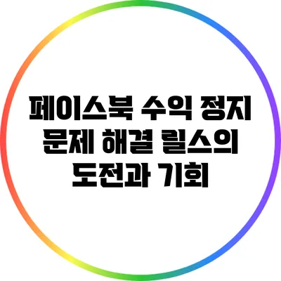 페이스북 수익 정지 문제 해결: 릴스의 도전과 기회