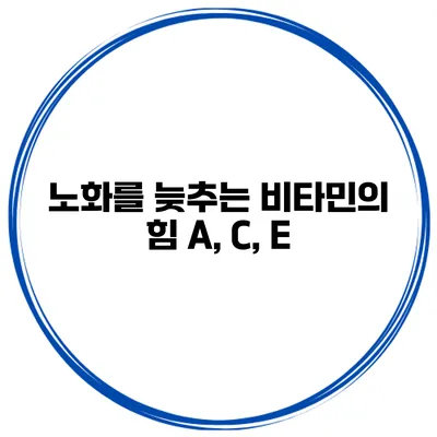 노화를 늦추는 비타민의 힘 A, C, E