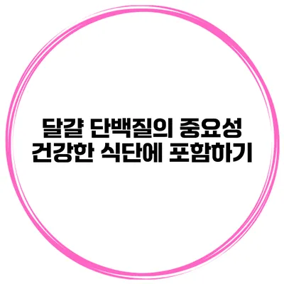 달걀 단백질의 중요성 건강한 식단에 포함하기