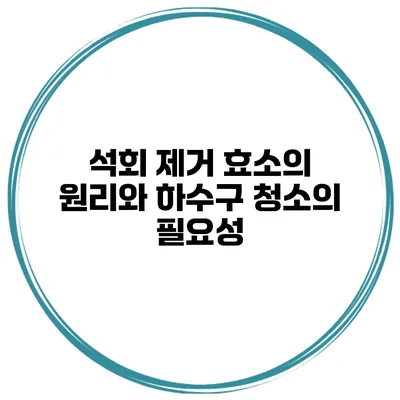 석회 제거 효소의 원리와 하수구 청소의 필요성