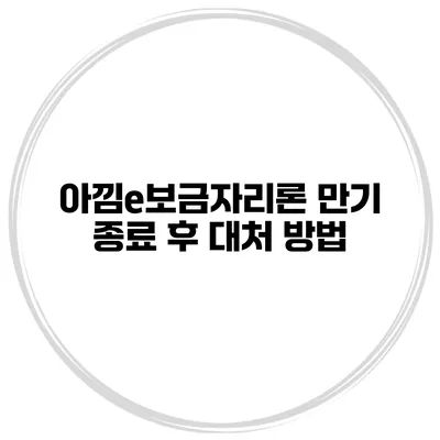아낌e보금자리론 만기 종료 후 대처 방법