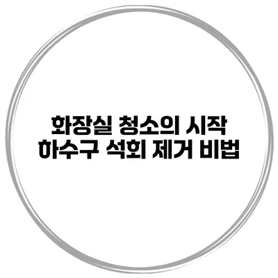 화장실 청소의 시작 하수구 석회 제거 비법