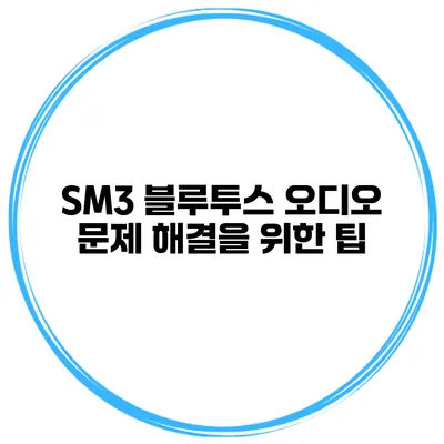 SM3 블루투스 오디오 문제 해결을 위한 팁