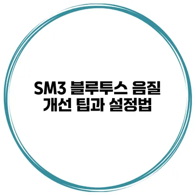SM3 블루투스 음질 개선 팁과 설정법