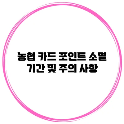 농협 카드 포인트 소멸 기간 및 주의 사항