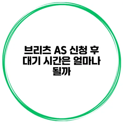 브리츠 A/S 신청 후 대기 시간은 얼마나 될까?