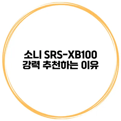 소니 SRS-XB100 강력 추천하는 이유