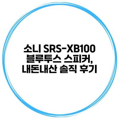 소니 SRS-XB100 블루투스 스피커, 내돈내산 솔직 후기