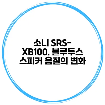 소니 SRS-XB100, 블루투스 스피커 음질의 변화