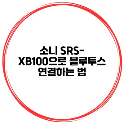 소니 SRS-XB100으로 블루투스 연결하는 법