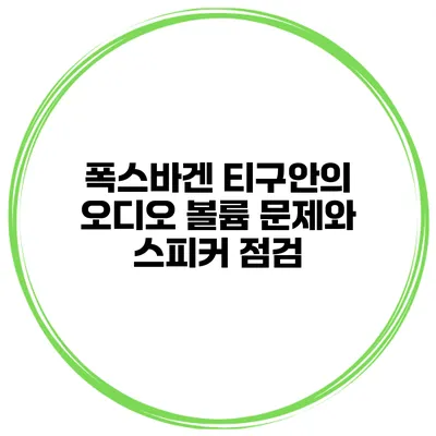 폭스바겐 티구안의 오디오 볼륨 문제와 스피커 점검